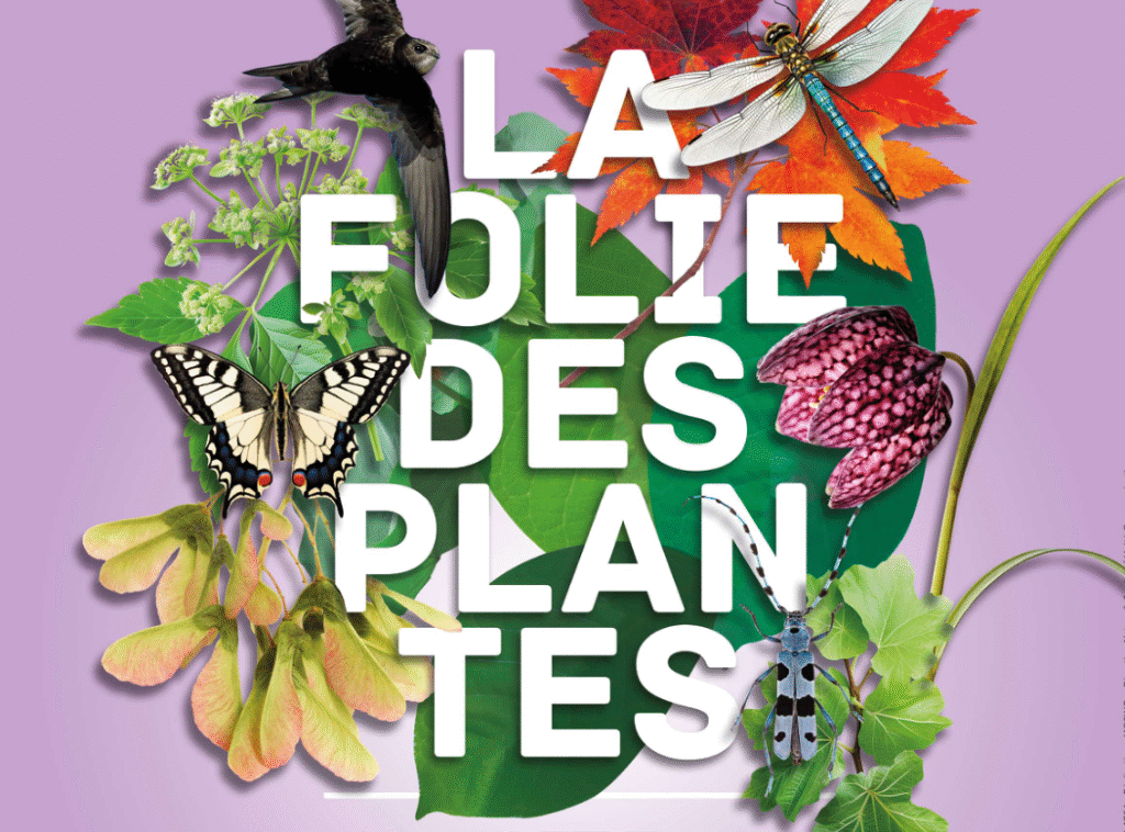 La Folie des Plantes 2025 : un week-end de nature au parc du Grand-Blottereau