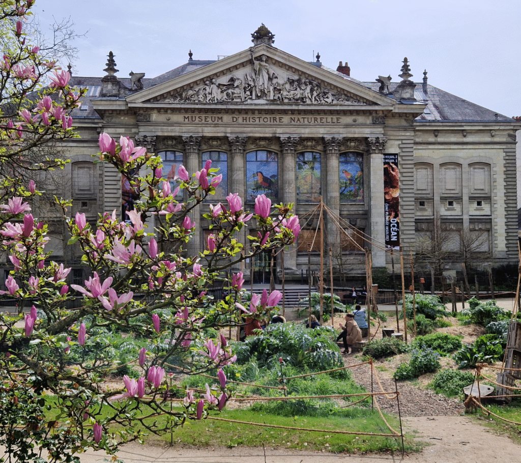 Muséum de Nantes fête ses 150 ans avec un week-end d’animations avant sa fermeture temporaire