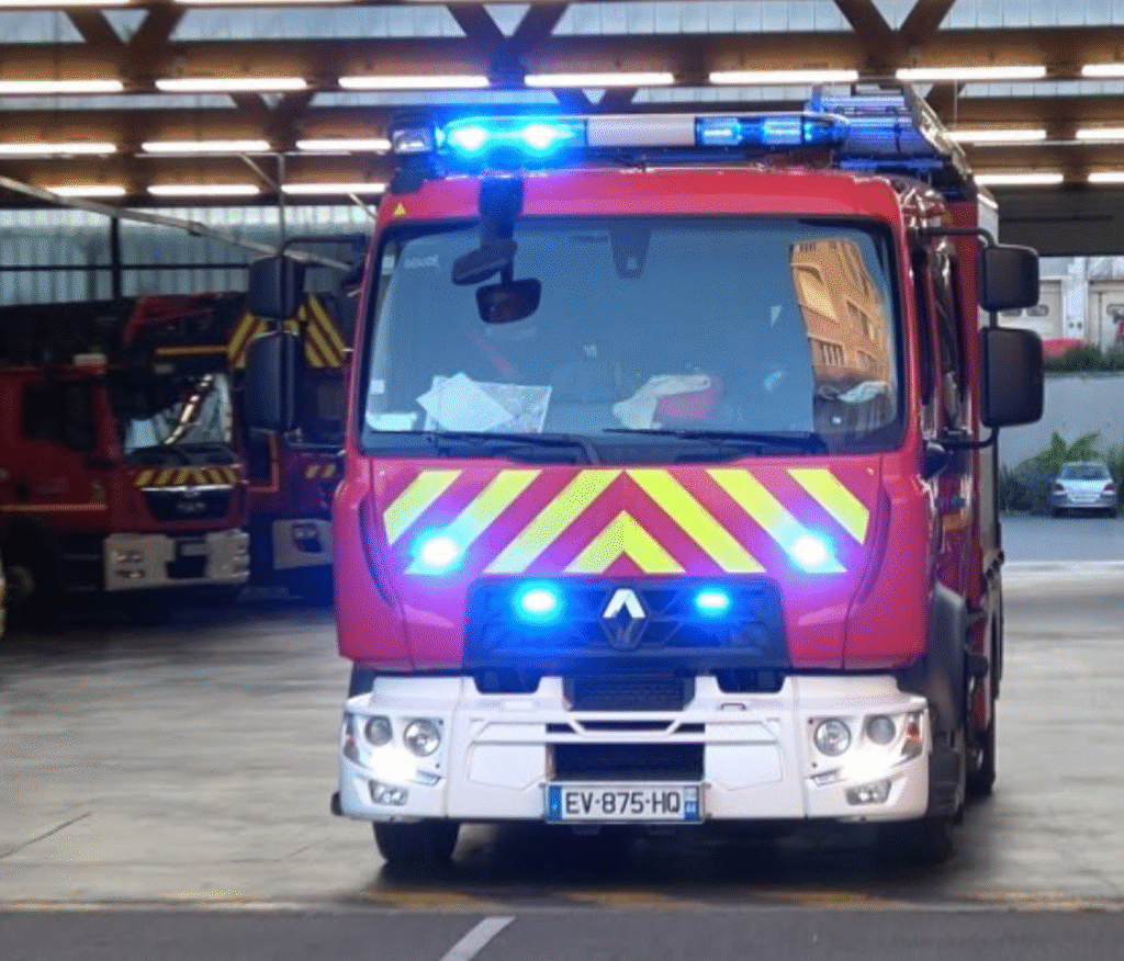Près de Nantes : les pompiers sauvent un chien de chasse coincé en haut d’une falaise à Bouguenais