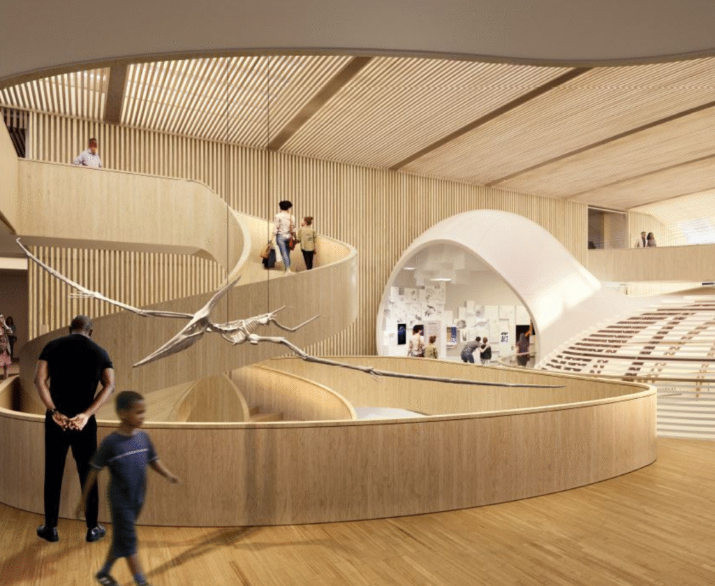 Nantes : le muséum d’histoire naturelle ferme pour rénovation, réouverture prévue en 2029