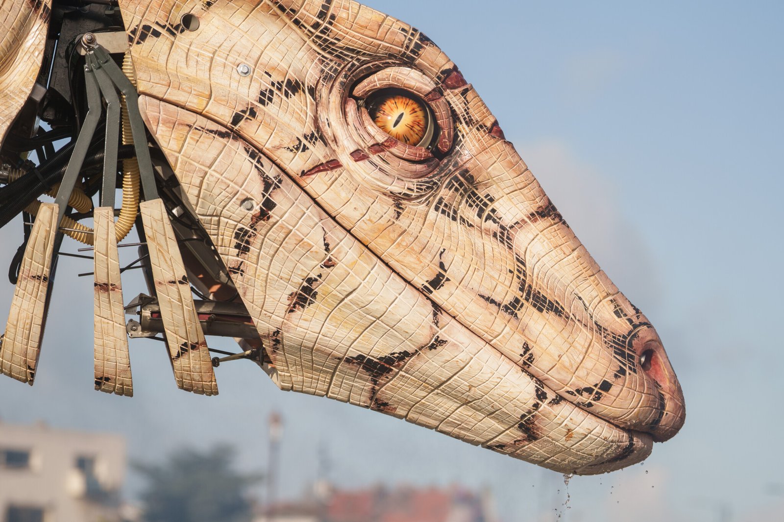 Carrousel-Varan-spectacle-2 La Machine fait voyager ses géants : « Le Varan de voyage, l’Odyssée » envoûte Calais