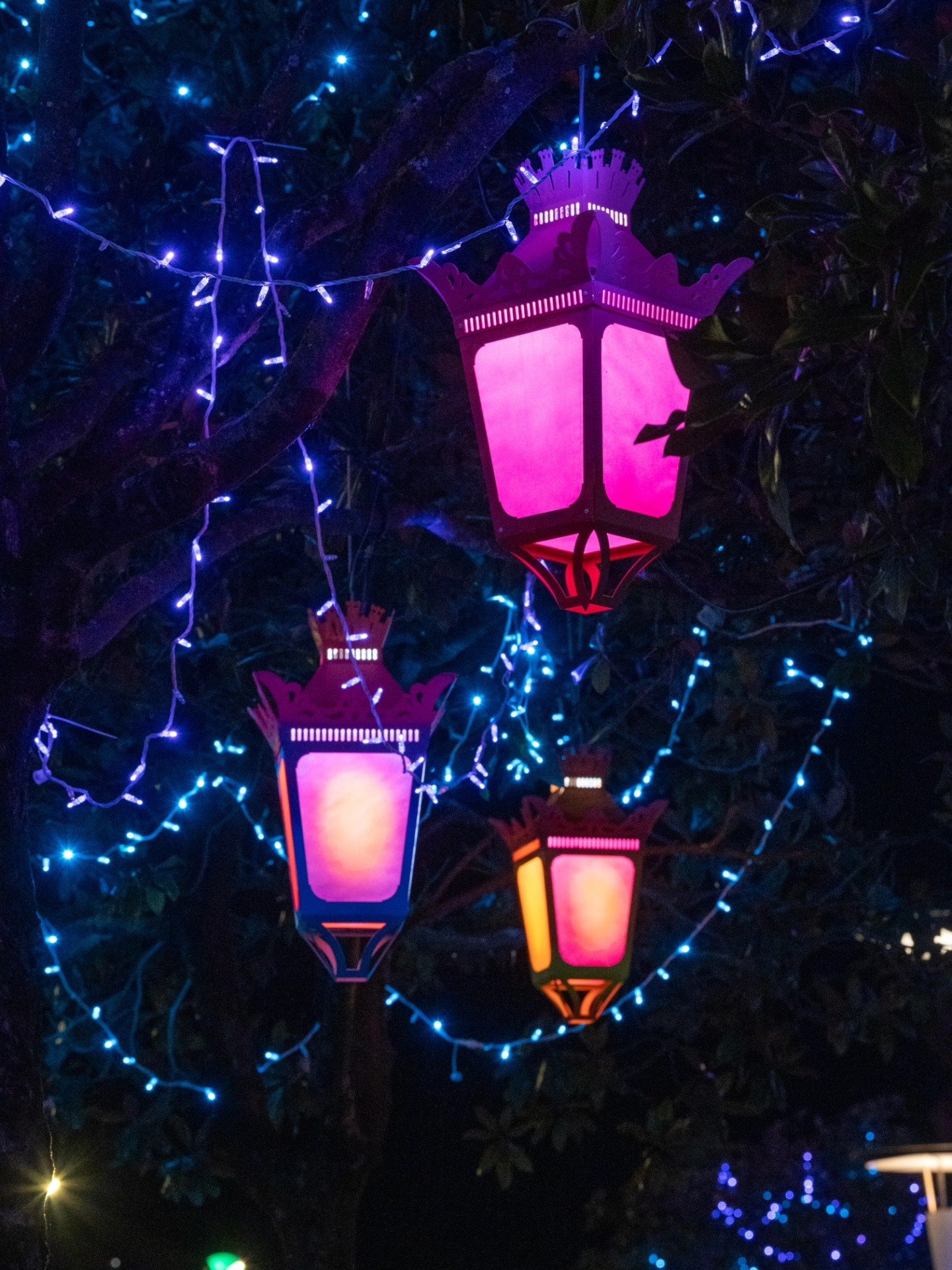 Voyage-en-hiver-2 Illuminations de Noël : 66 rues et 14 places s’illuminent à Nantes cette semaine