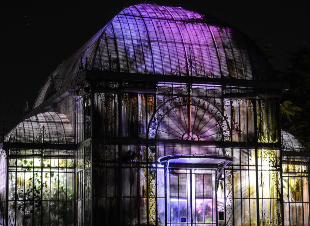 « Le Chant du Palmarium » : immersion lumineuse et tropicale au Jardin des plantes de Nantes