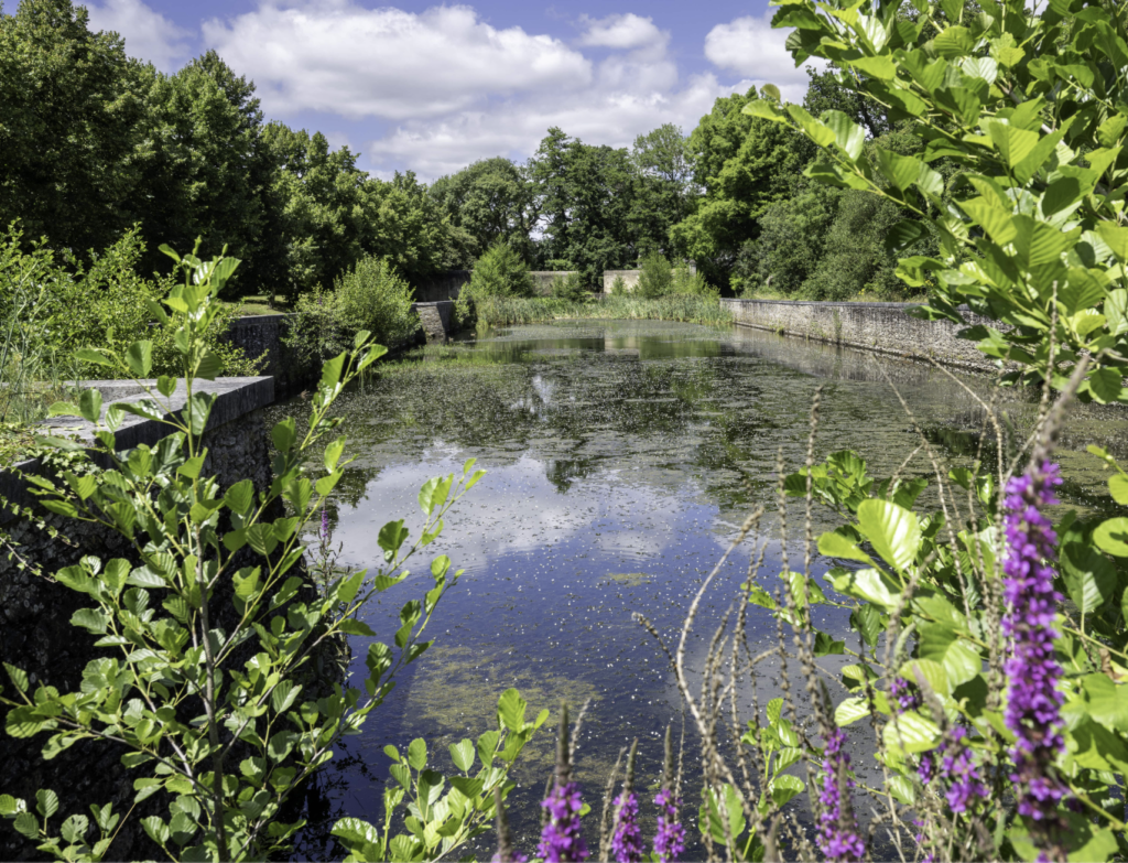 Le bassin du Bois Briand, un patrimoine méconnu aux portes de Nantes bientôt mis en valeur