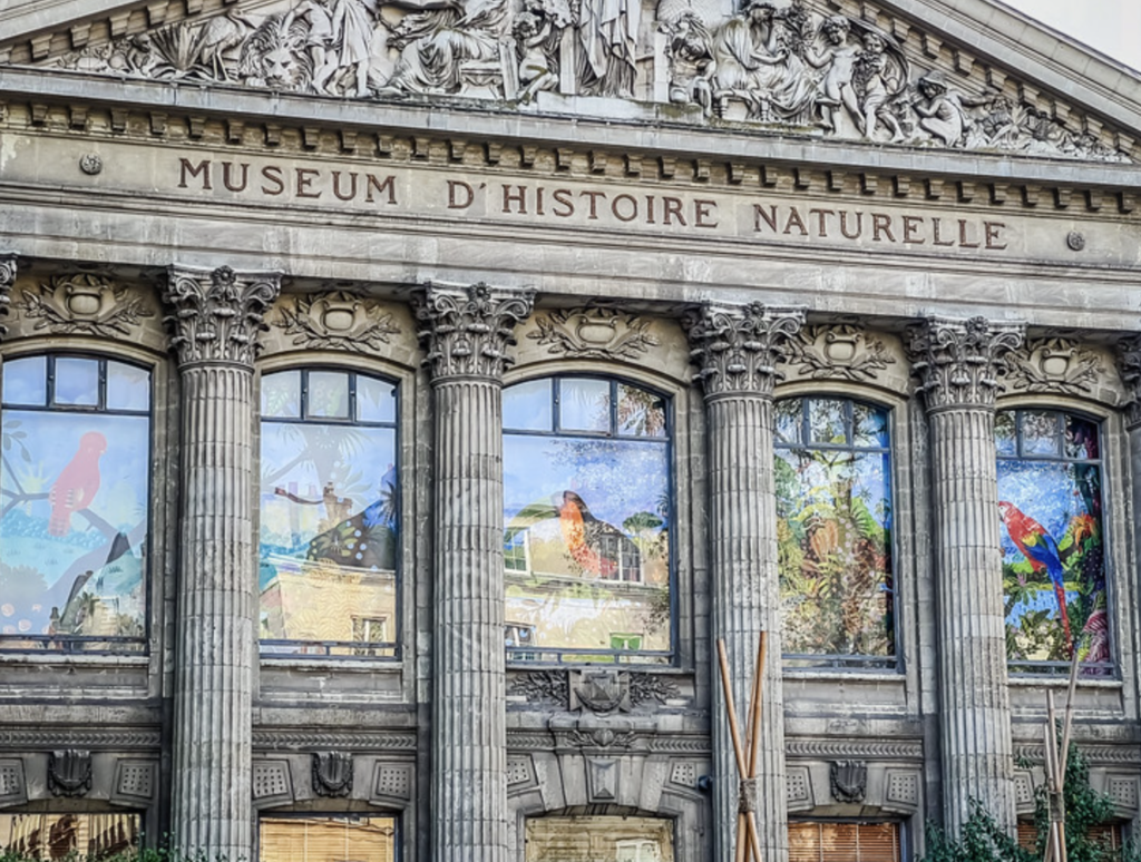 Muséum de Nantes : quatre expositions hors-les-murs à découvrir en 2026