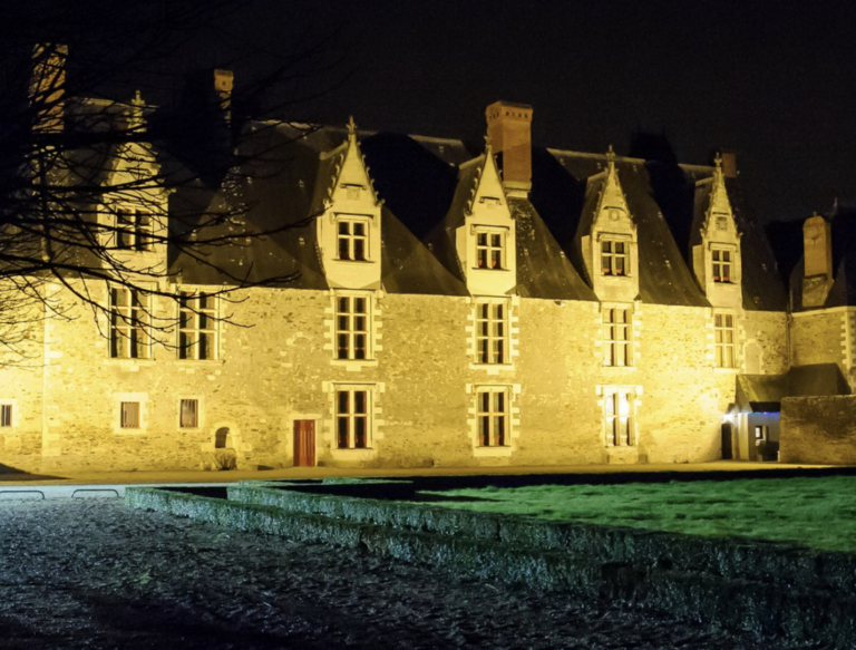 Dance-The-Night-Une-soiree-dansante-au-coeur-des-caves-historiques-du-Chateau-de-Goulaine-768x583 Accueil
