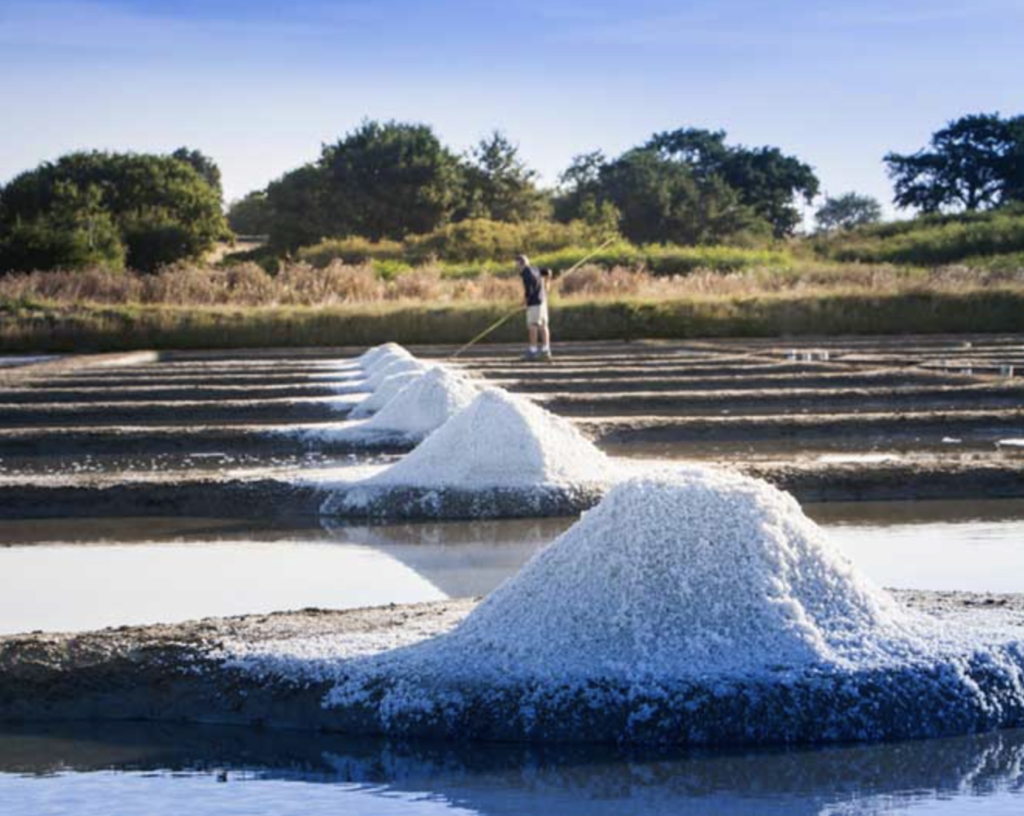 Neige à Nantes : comment le sel des marais de Guérande est utilisé pour le déneigement