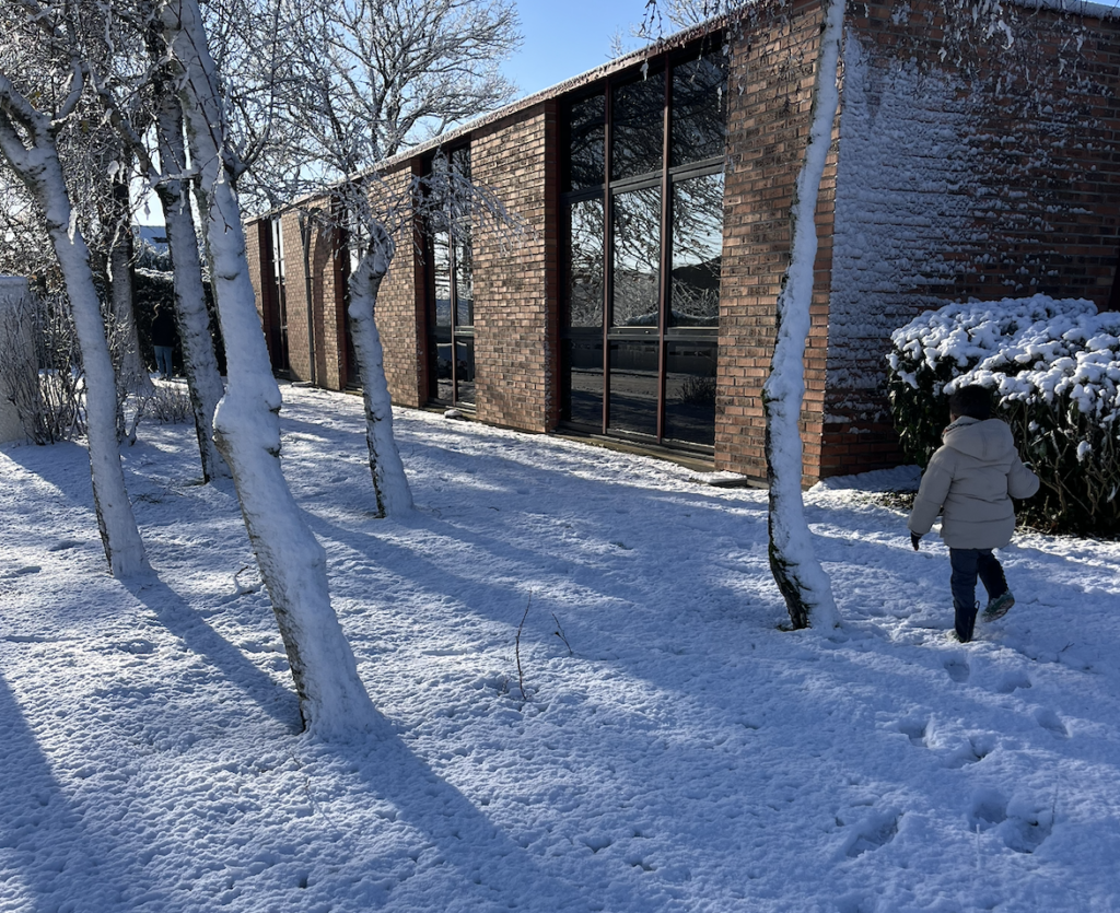 Nouvelle perturbation neigeuse et tempête Goretti : l’hiver saisit la France, focus Bretagne et Pays de la Loire