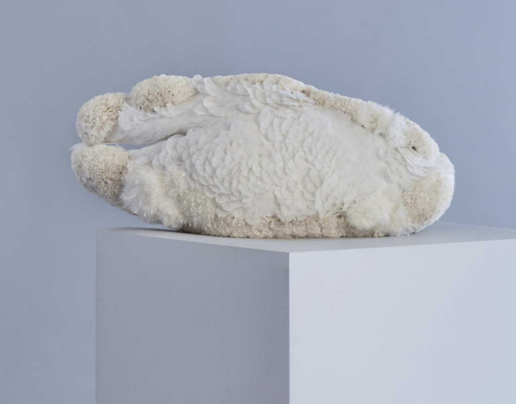Nymphose à Carquefou : une exposition poétique autour de la plume à découvrir jusqu’au 22 février