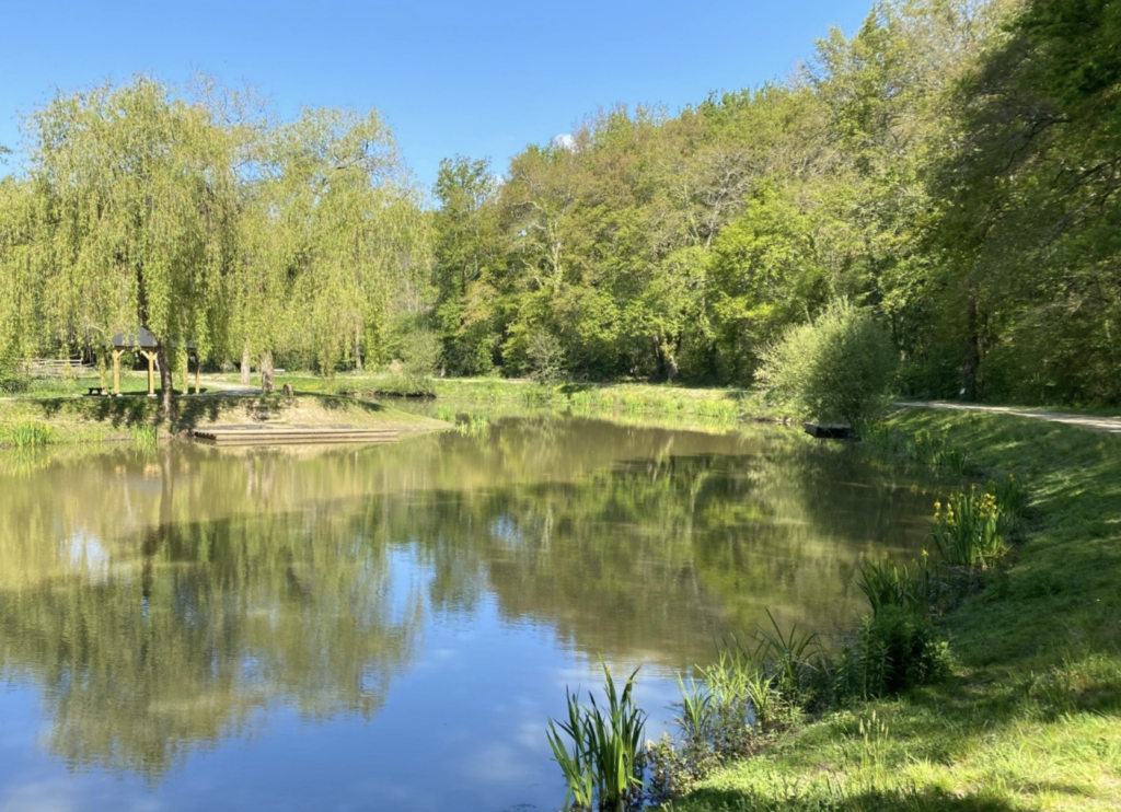 Randonnées urbaines : le réseau de l’Étoile Verte va s’étendre autour de la Loire, l’Erdre et la Chézine