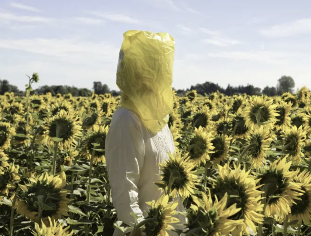 Plants and People : une exposition croisée entre le Musée d’arts de Nantes et le Frac à Carquefou