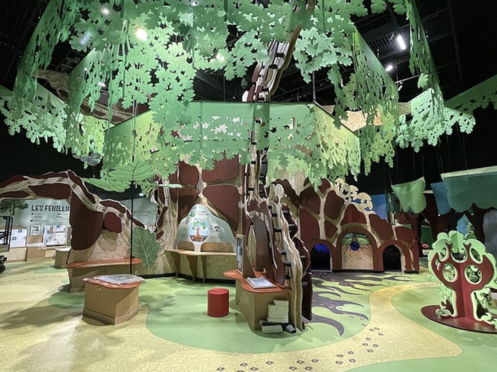 Aux Lucs-sur-Boulogne, l’Historial inaugure un nouveau musée des enfants consacré à l’arbre