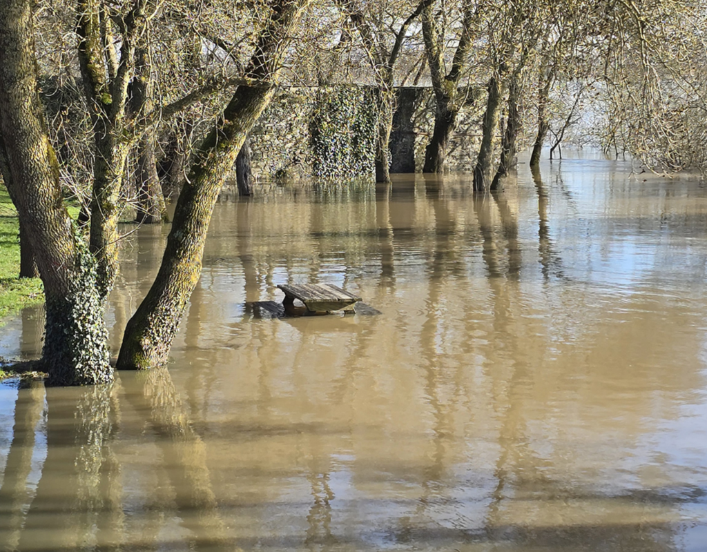 Crue de la Loire : un niveau qui pourrait dépasser celui de 2004 près d’Ancenis