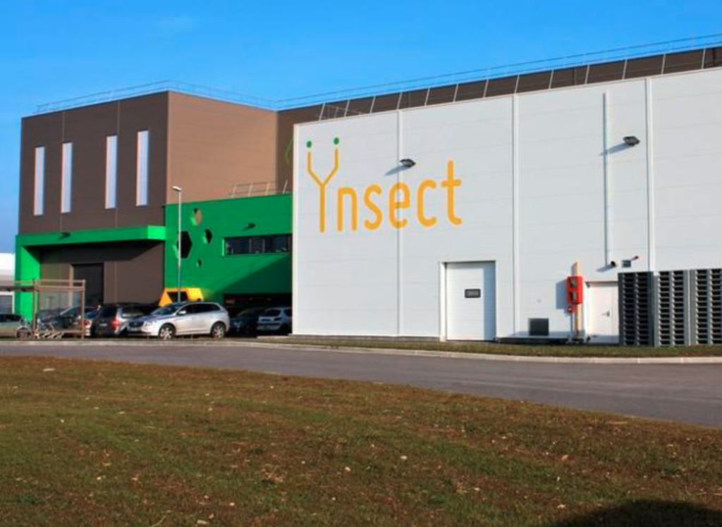 Ynsect : comment une licorne française de l’agritech a fini en liquidation judiciaire
