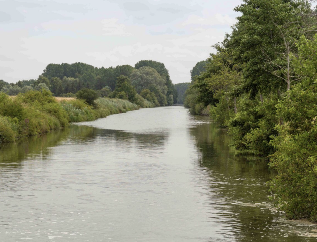 Loire-Atlantique : un chantier de désenvasement du canal de la Chaussée-Mouton prévu en 2026