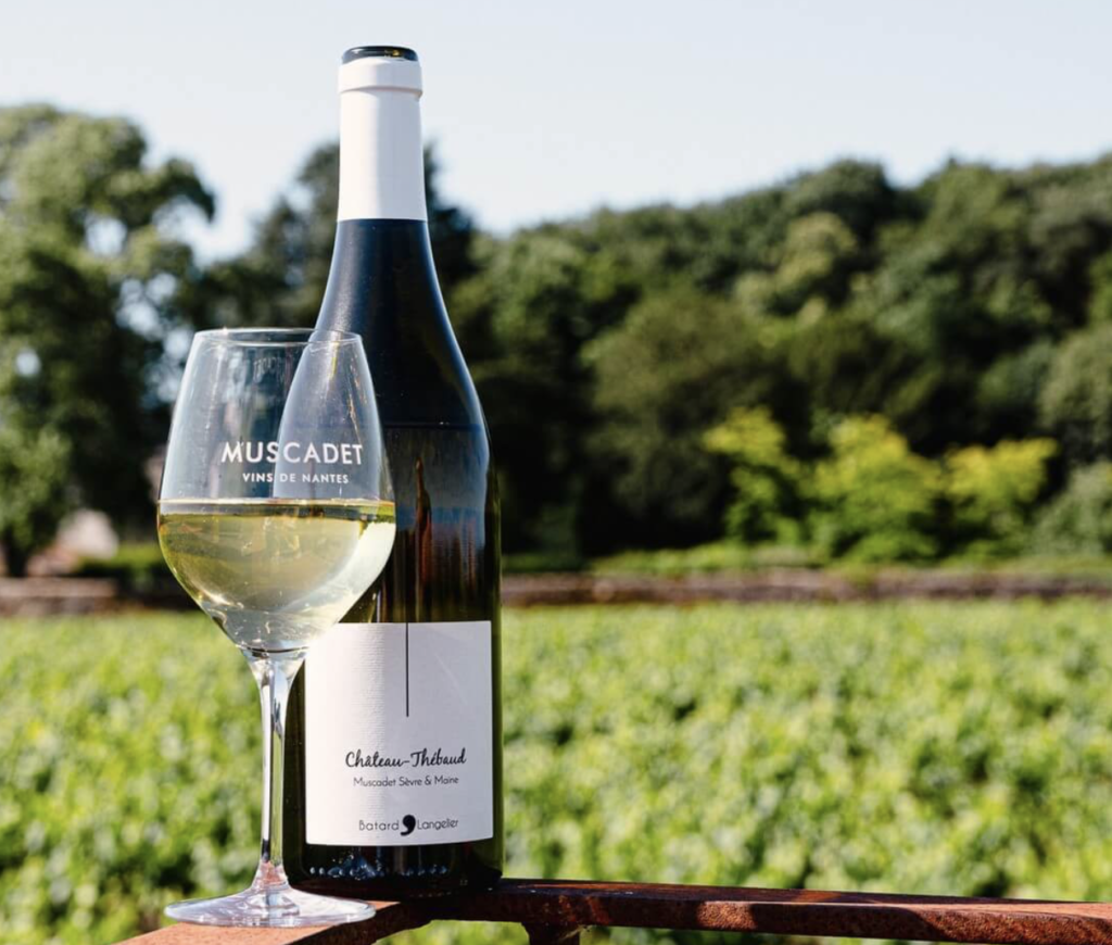 Muscadet : les vignerons indépendants du pays nantais affichent désormais la durée d’élevage sur leurs bouteilles