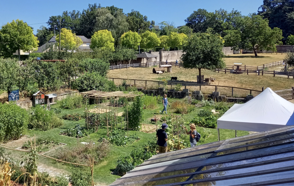 À Nantes, les Rendez-vous à la ferme font leur retour au parc de la Chantrerie jusqu’en octobre