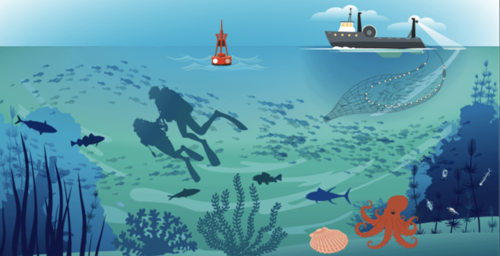 Nantes : « Écoute ta mer ! » revient le 29 avril 2026 pour une soirée dédiée à l’océan