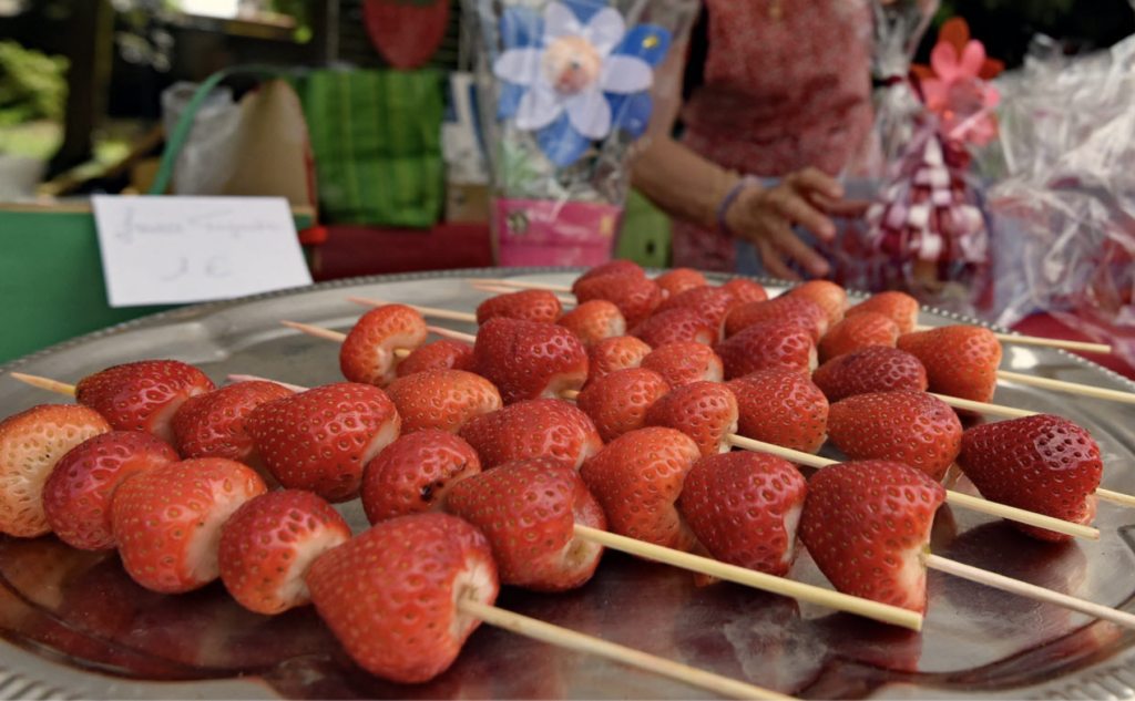 Près de Nantes, la Fête des fraises revient à Saint-Julien-de-Concelles le 7 juin 2026