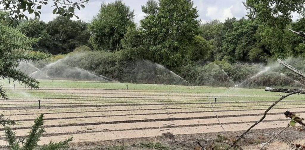 Pays de Retz : les restrictions d’eau se durcissent au sud de la Loire-Atlantique