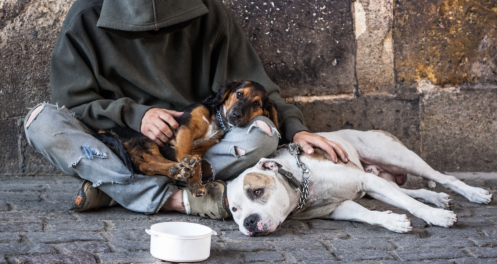 À Nantes, les contrôles visant des personnes sans abri et leurs chiens se multiplient dans le centre-ville