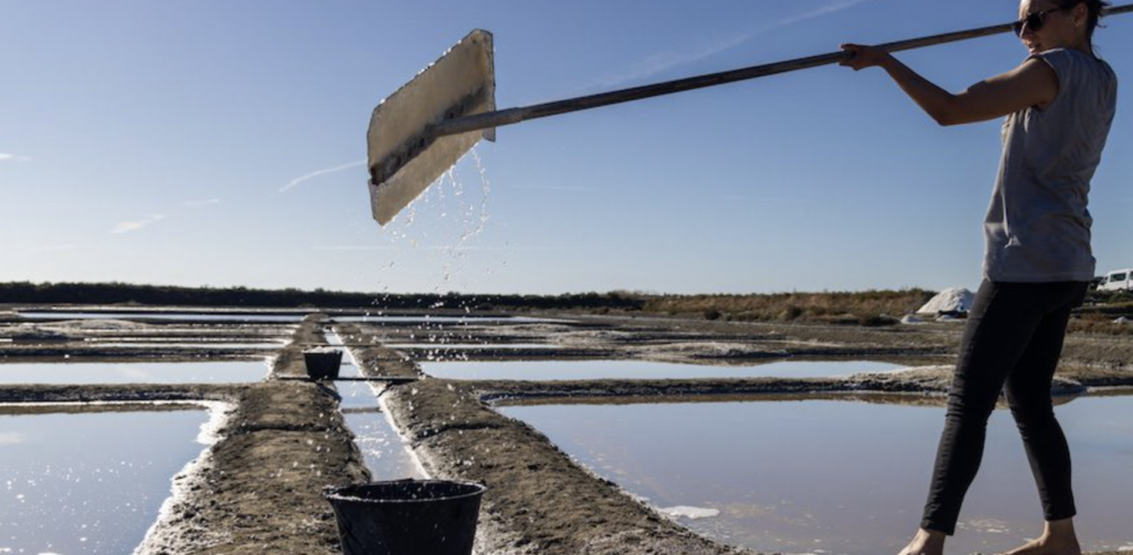 À Guérande, une récolte de sel 2026 exceptionnelle épuise les paludiers