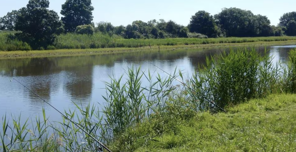 À moins de 30 minutes de Nantes, ce coin de nature offre une véritable parenthèse de dépaysement
