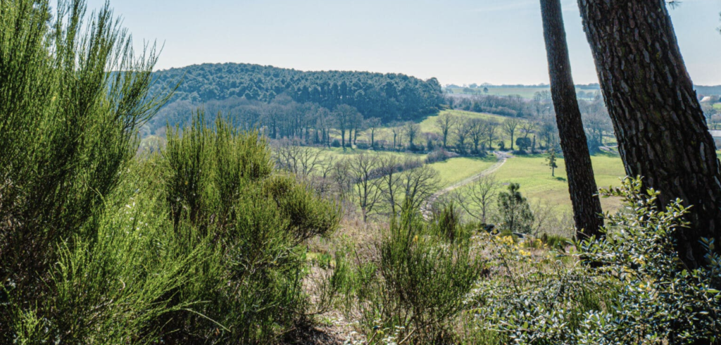 À moins d’une heure de Nantes, cette balade au fil du Don promet une journée entre nature, canoë et panoramas