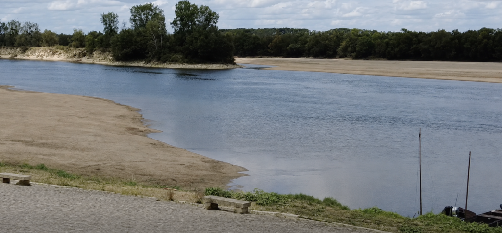 Entre Ancenis et Oudon, la Loire retrouve déjà un visage plus sauvage