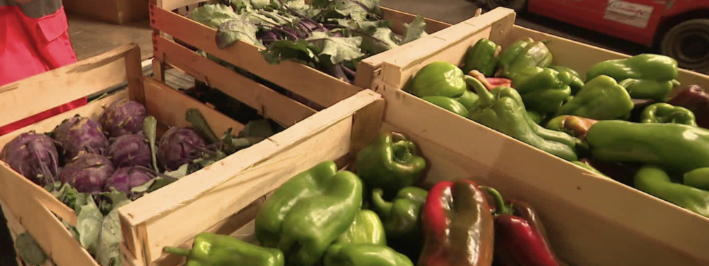 À Rezé et Vertou, des entreprises prêtent leurs terrains pour produire des légumes pour la Banque alimentaire