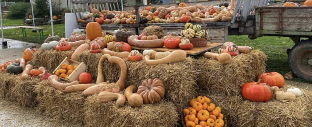 Vendée : une première Fête de l’automne à Landeronde le 11 octobre
