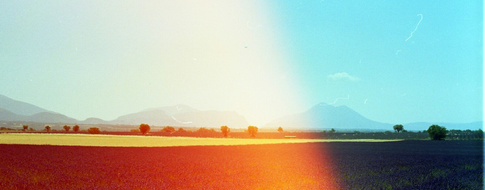 Paysage agricole sous un soleil intense