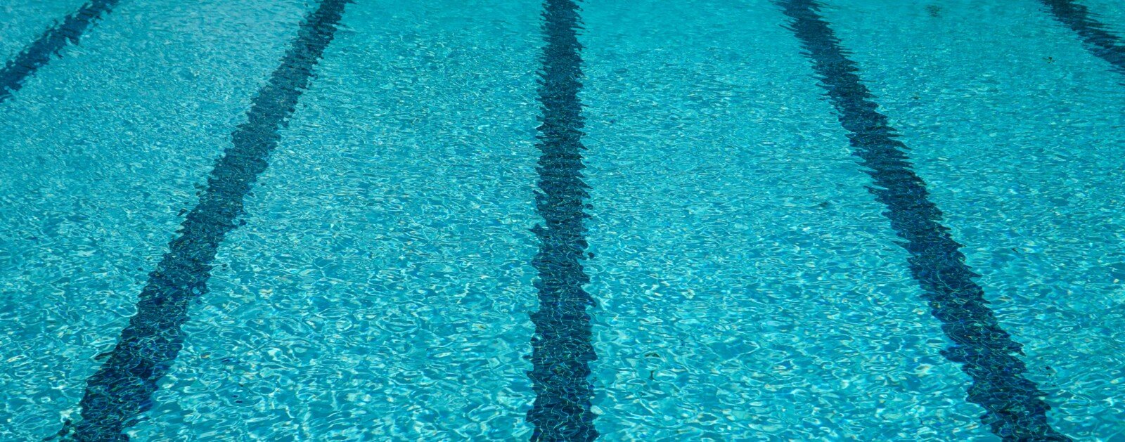 Lignes d’un bassin sportif, illustration du projet Aqua’val Sèvre