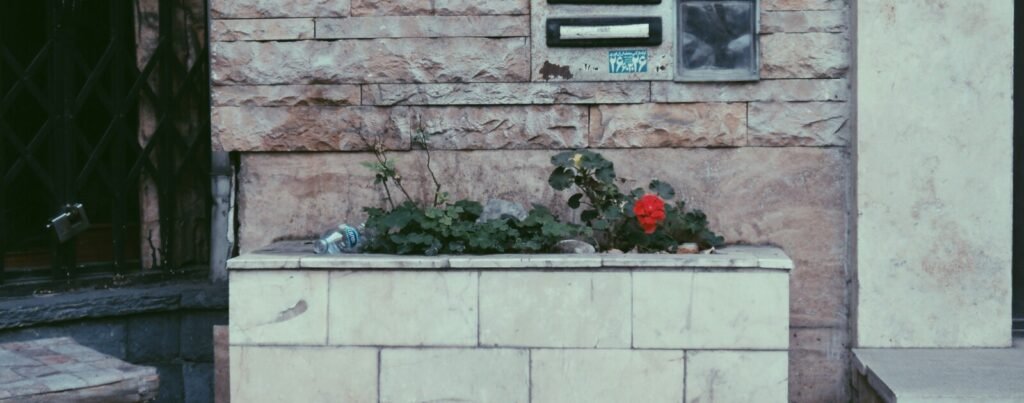 La Chapelle-sur-Erdre : des graines offertes pour fleurir les pieds de murs jusqu’au 15 novembre