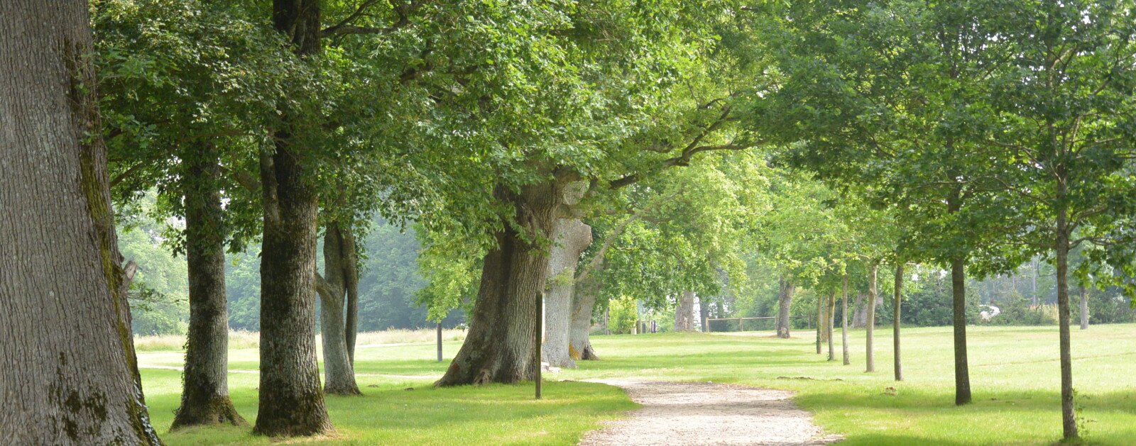 Parc de Beaupuy à Mouilleron-le-Captif
