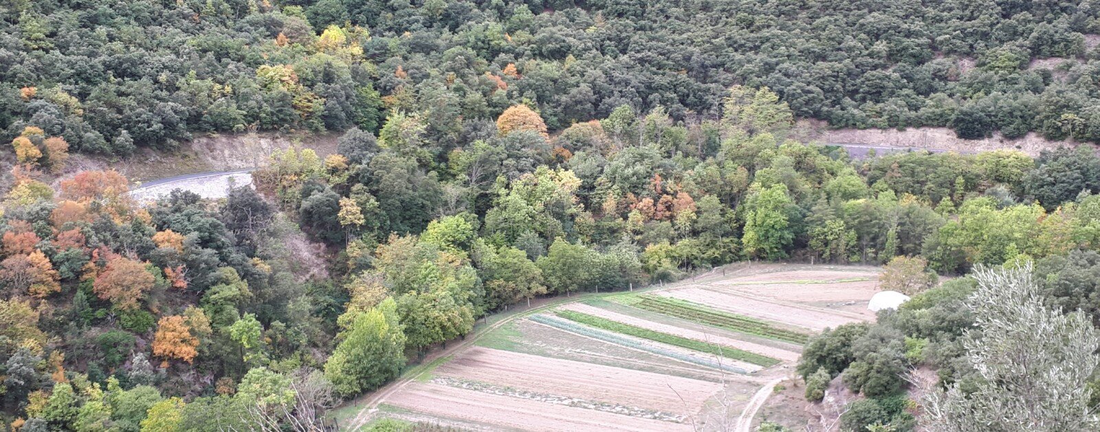 Parcelles de maraîchage cultivées en France