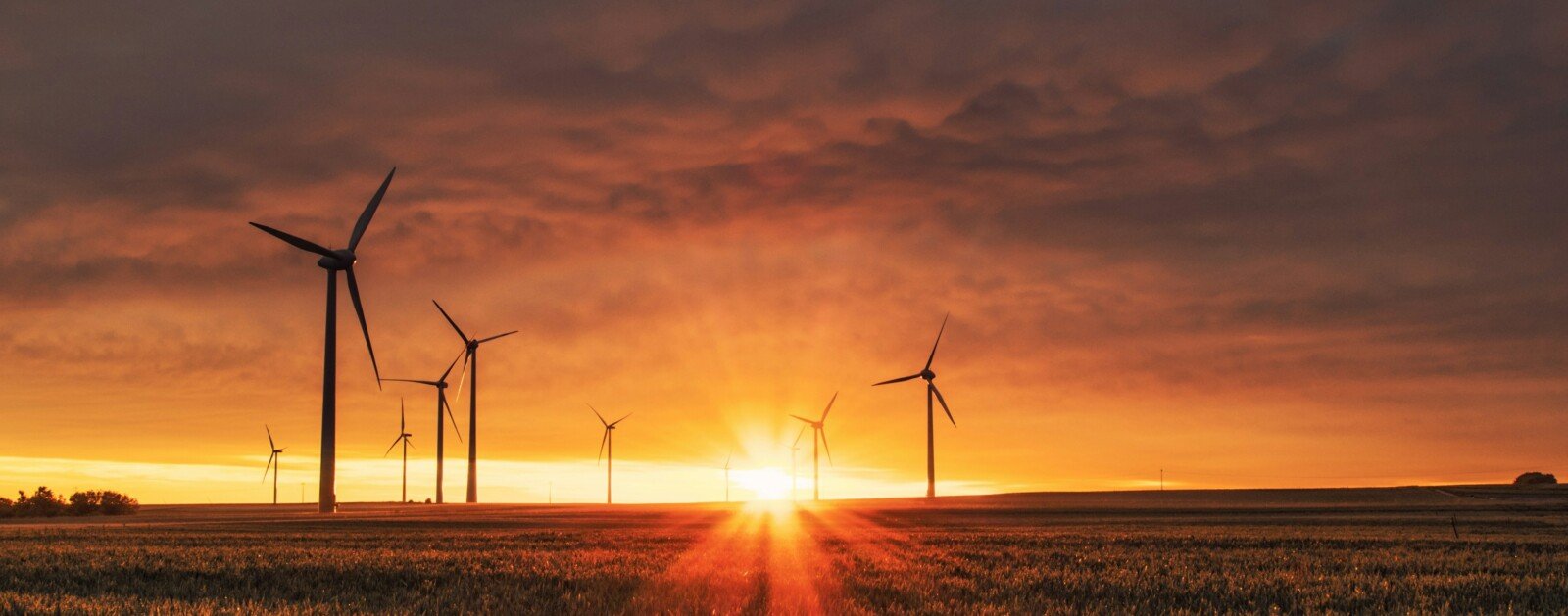 Éoliennes installées dans un paysage rural