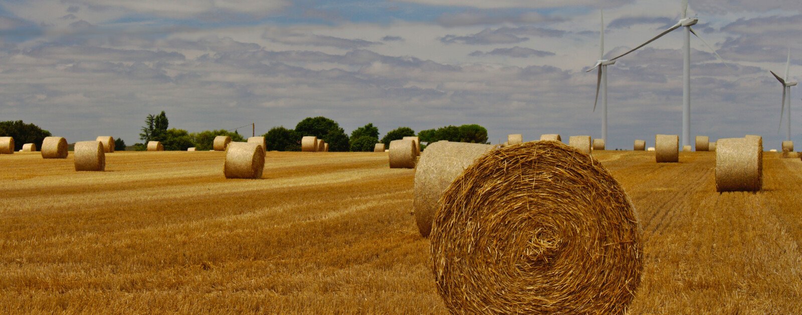 Éoliennes dans un paysage agricole de Vendée