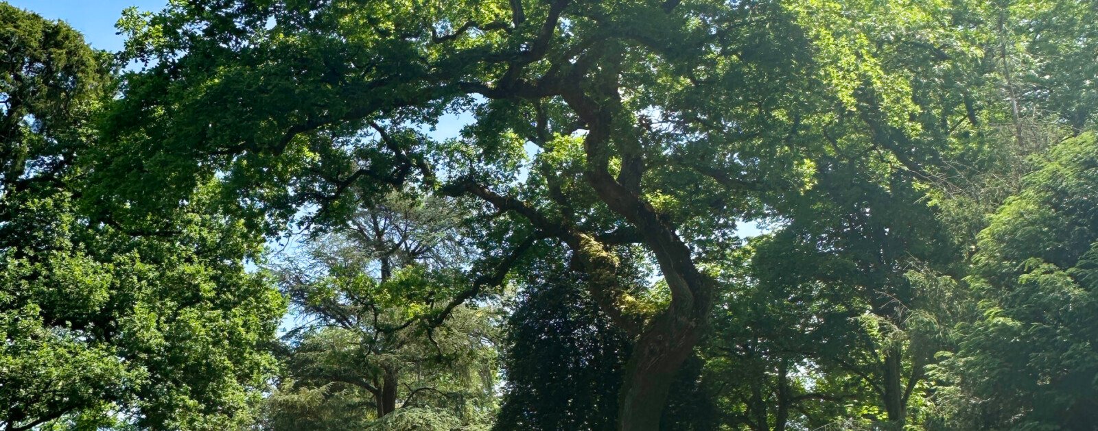 Parc Auvigne à Sainte-Luce-sur-Loire