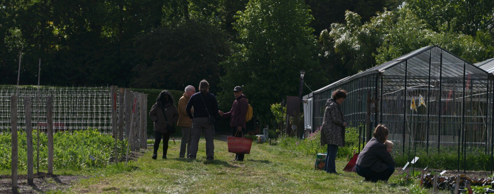 Jeunes participant à une activité collective en extérieur