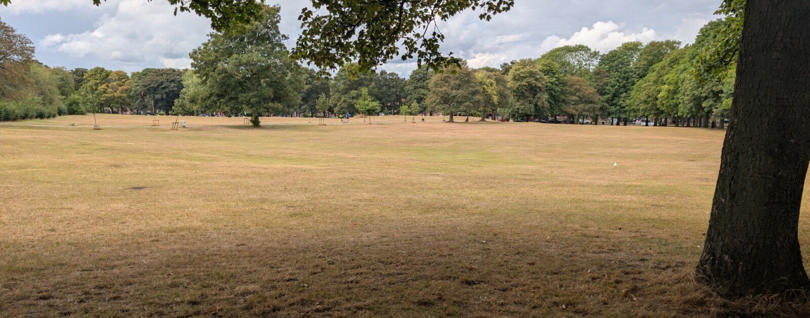 Prairie desséchée par la sécheresse, image d’illustration du changement climatique