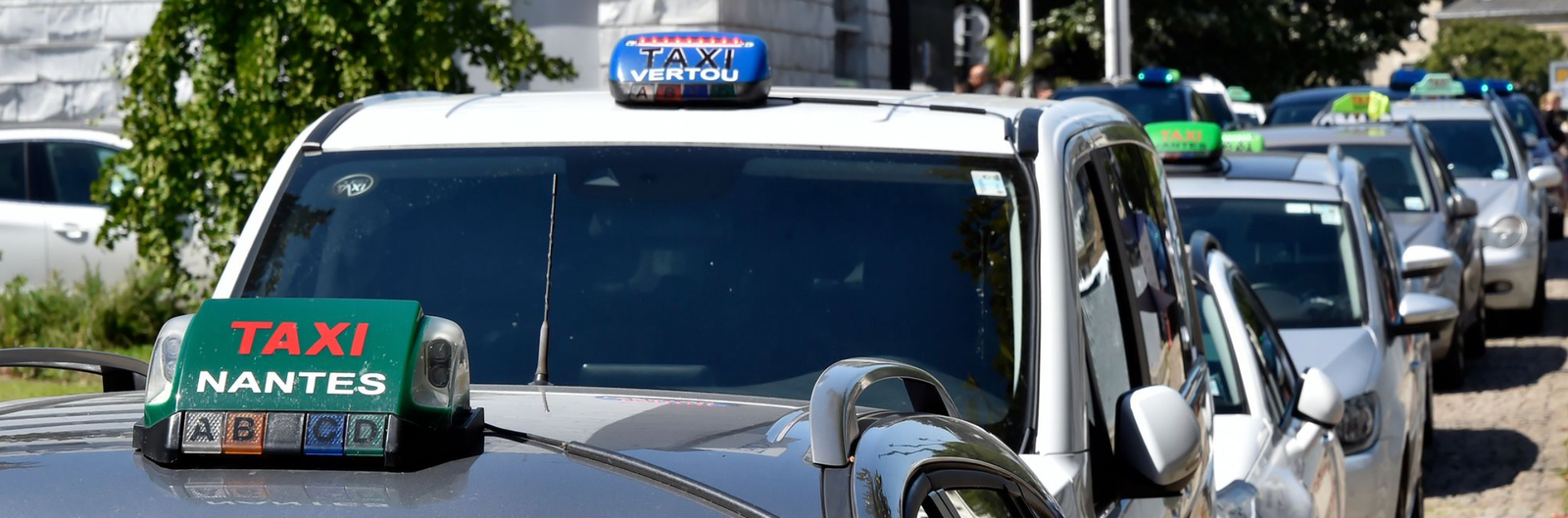 taxi nantais sur un véhicule, illustration de la recherche d’un taxi conventionné