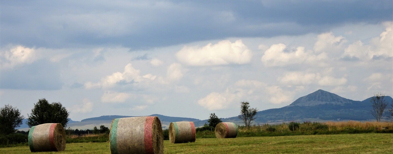 Balles de foin dans un paysage agricole français