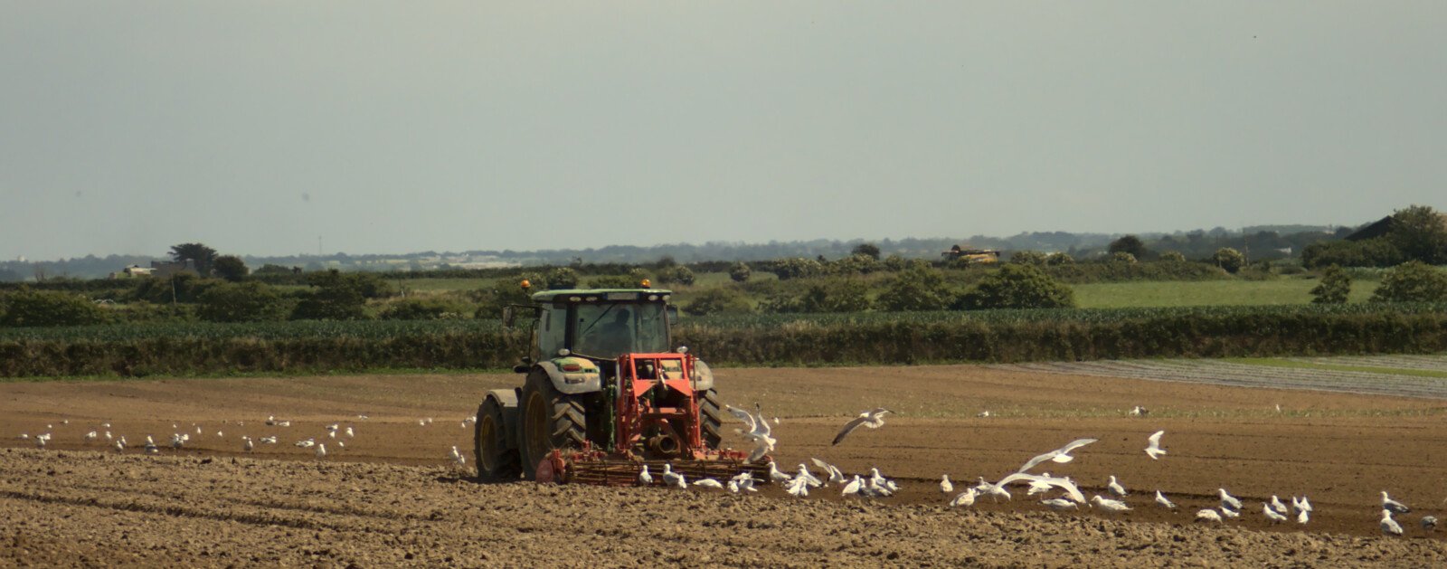 Tracteur agricole travaillant dans un champ
