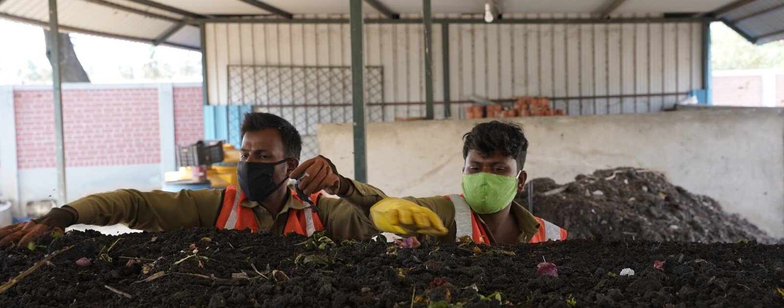 Andains de compost en cours de maturation sur une plateforme de valorisation