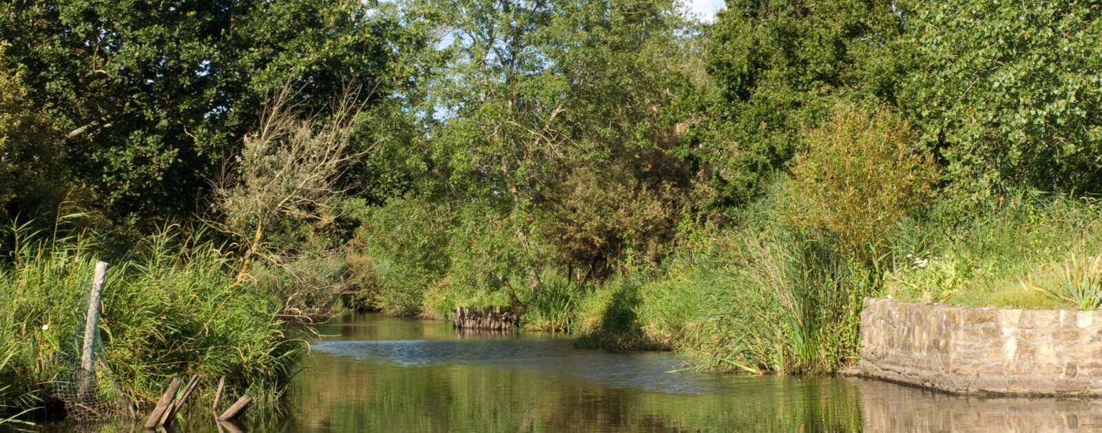 Paysage de canaux et marais dans le Parc naturel régional de Brière en Loire-Atlantique