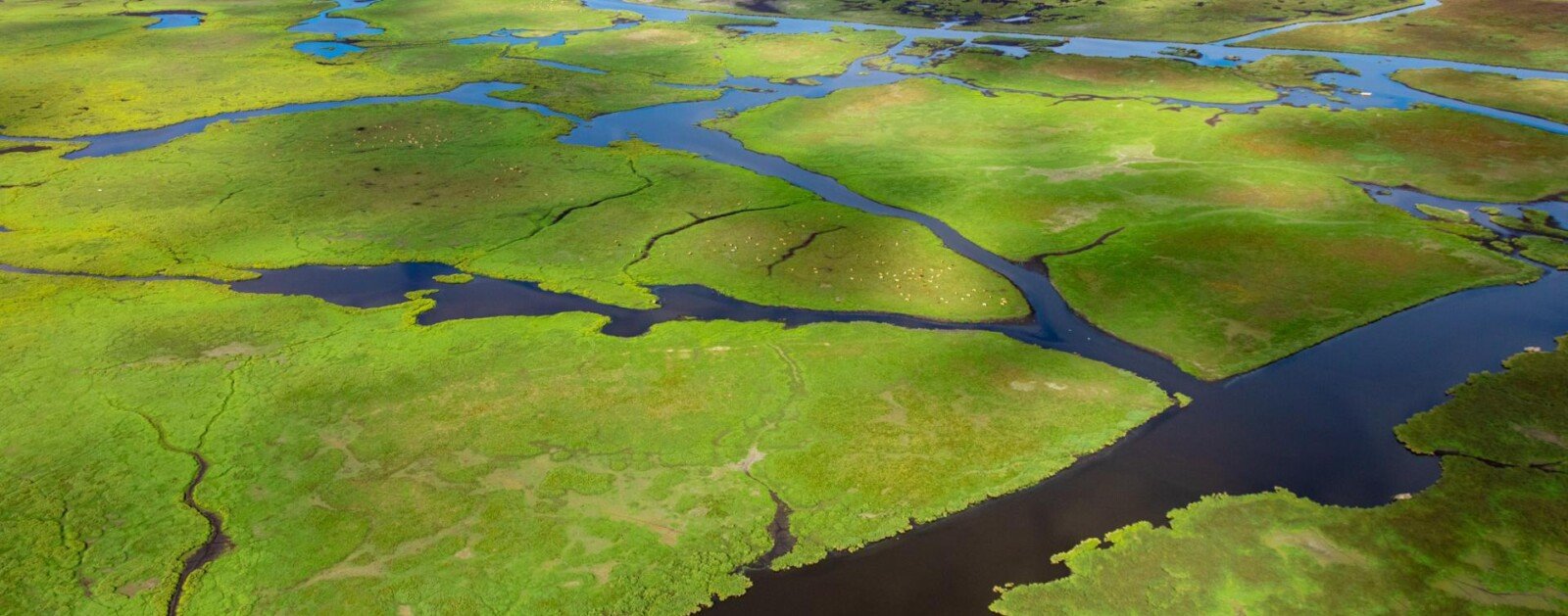 Vue aérienne des marais de Brière et de leurs canaux, près de Saint-Joachim en Loire-Atlantique