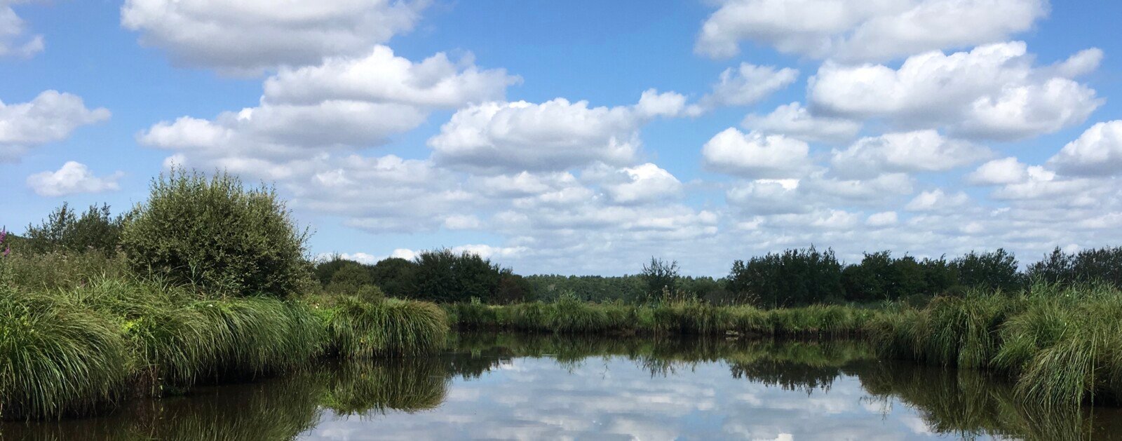 Paysage des marais de Brière photographié près de Bréca, sur la commune de Saint-Joachim