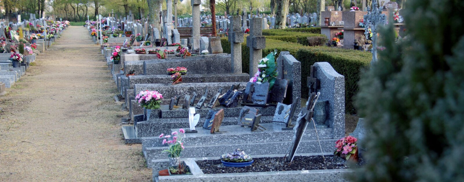 Allée arborée et sépultures dans un cimetière de Saint-Herblain, photographie publiée par la Ville.