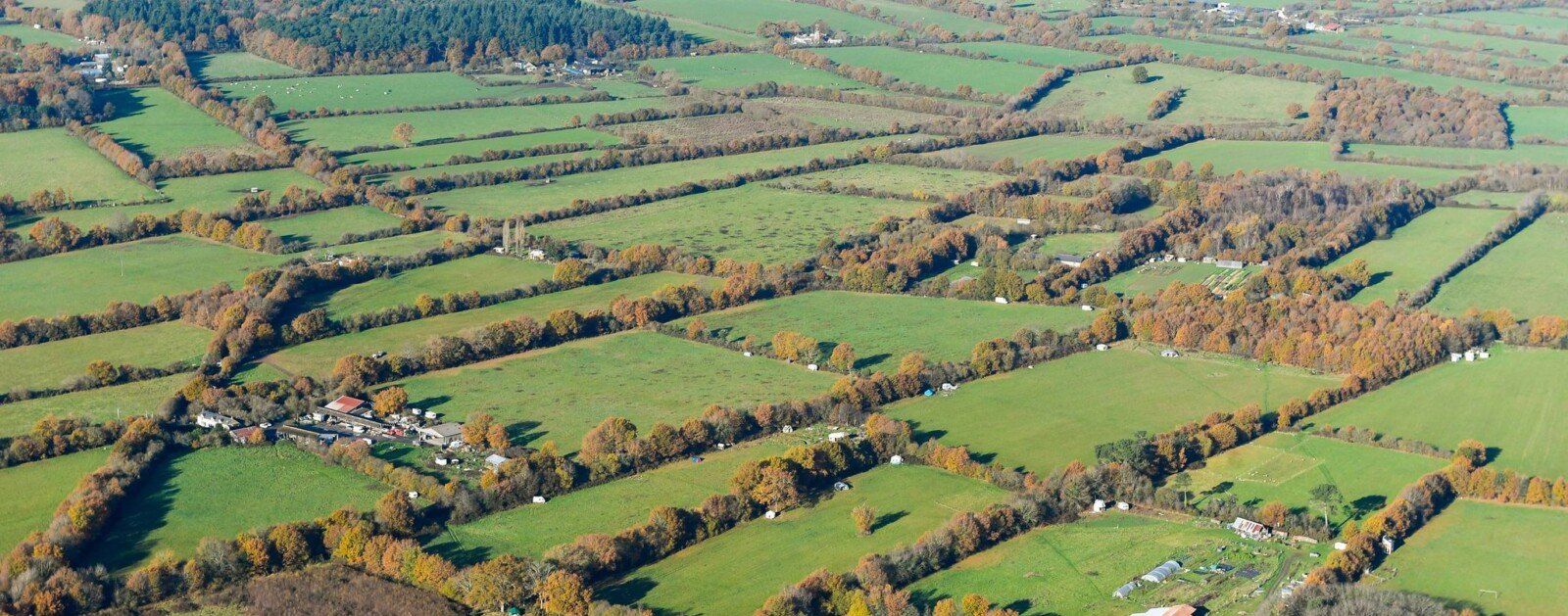 Vue aérienne du bocage de Notre-Dame-des-Landes en Loire-Atlantique